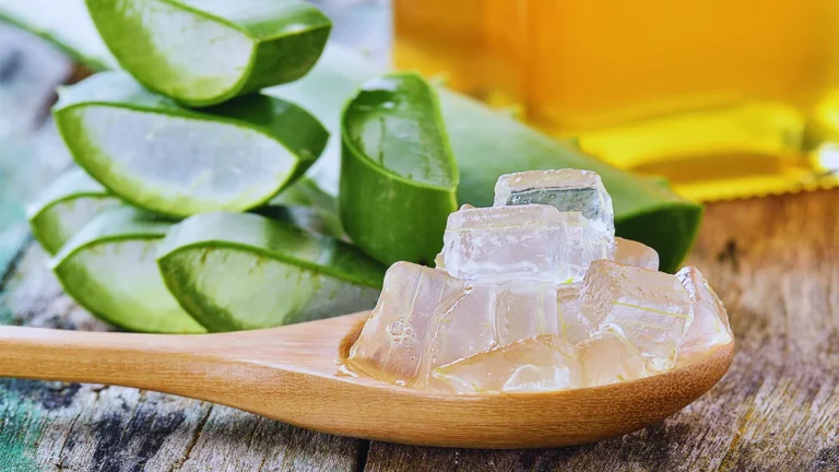 Is Aloe Barbadensis Leaf Juice Safe For Skin?